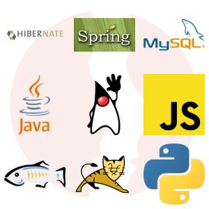 JEE Software Developer - główne technologie