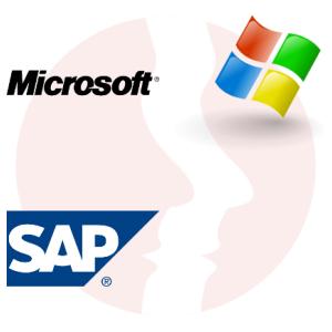 SAP Support Specialist - główne technologie
