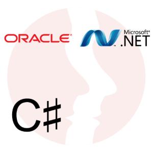 C#.NET Software Developer - główne technologie