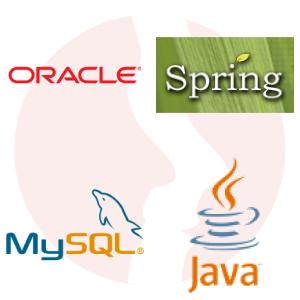 Java Team Leader / Senior Developer - główne technologie