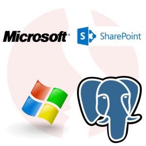 Administrator Baz Danych MS SQL ze znajomością MS Sharepoint - główne technologie