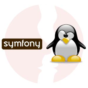 Senior PHP Developer (Symfony) - główne technologie