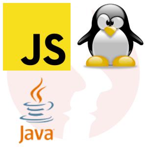 Technical Leader / Doświadczenie w Java i JavaScript / Full Stack Developer - główne technologie