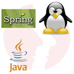 Java Developer with JavaScript knowledge/ Lead SaaS Programmer - główne technologie