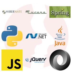 Mid Java Developer / Regular Java Programmer - główne technologie