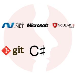 Angular/.NET Software Developer (future Team Leader) - główne technologie
