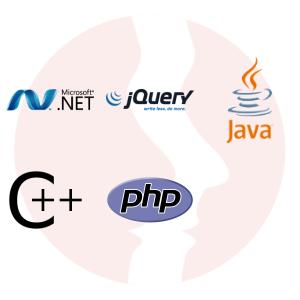 Programista ASP.NET & MS-SQL - główne technologie