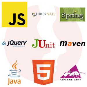 Senior Java Software Developer(8)/Consultant - główne technologie