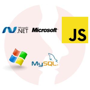Junior .NET Developer - główne technologie