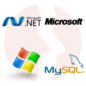 Team Leader / Senior Developer .NET - główne technologie