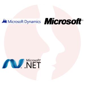 Konsultant MS Dynamics CRM - .NET - główne technologie