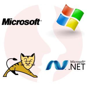 Junior .NET/Visual Basic Software Engineer (Digital signage) - główne technologie