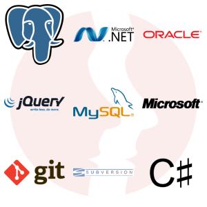 Software Developer .NET Full-stack Angular 2+ - główne technologie