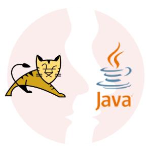 Programista Java ze znajomością Salesforce - główne technologie
