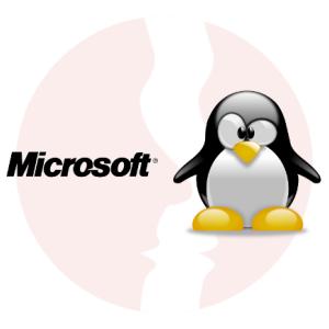Linux Administrator - główne technologie