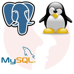 Databases Administrator MySQL/PostgreSQL - główne technologie