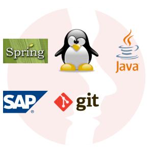 Team Leader / Java - Hybris Developer - główne technologie