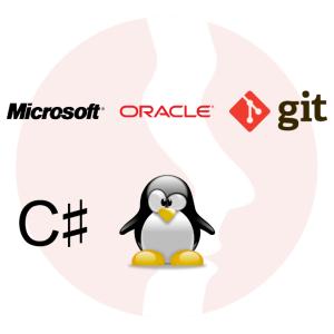 C/C++ / C# Software Developer - główne technologie