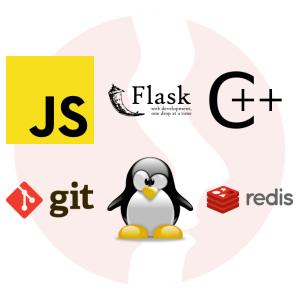 Python Developer (Regular) - główne technologie
