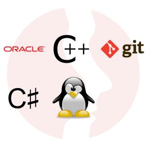 Software Developer (C, C++, C# or VB.NET) Junior/Mid - główne technologie