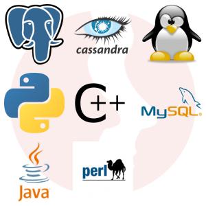 System Programmer: C/C++, Python, Bash - główne technologie