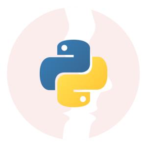 Senior/Regular Python Software Developer - główne technologie