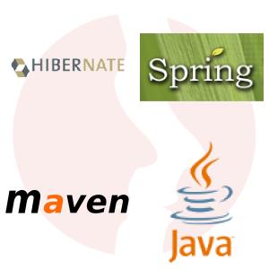 Java Software Developer - główne technologie