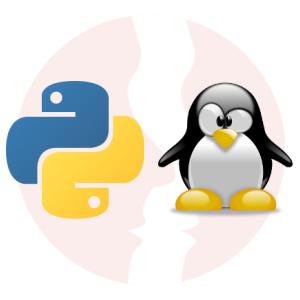 Python Developer (pandas,numpy) - główne technologie