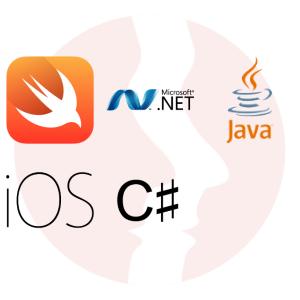 Junior Java/.Net Developer - główne technologie