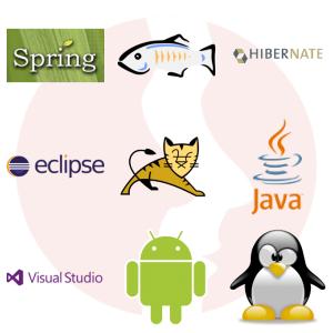 Junior Java EE Developer - główne technologie