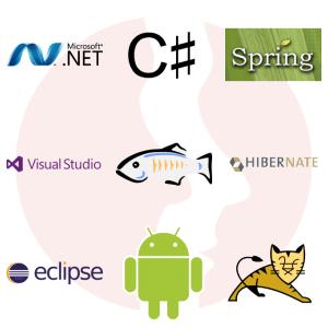 Junior C#/.Net Developer - główne technologie