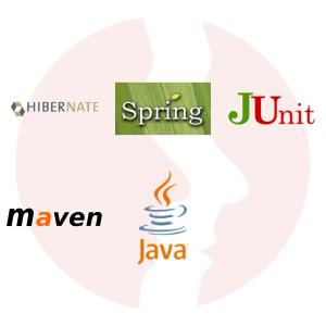 Java Developer (GCT) - główne technologie