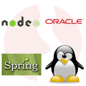Backend Java + Spring + API - główne technologie