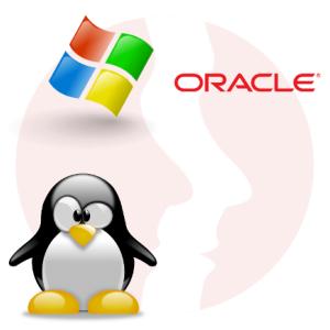 Specjalista baz danych Oracle - główne technologie