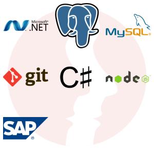 Developer .NET/C# - główne technologie