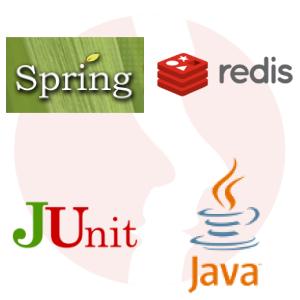 Java Lead Developer - główne technologie