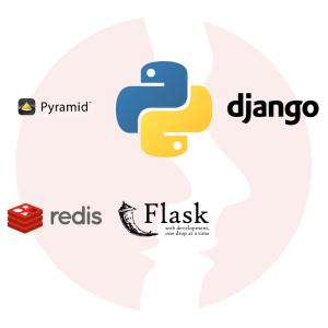 Senior Python Developer - główne technologie
