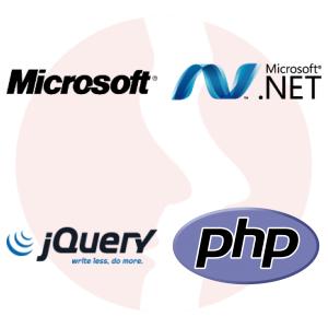 Programista ASP.NET w modelu MVC - główne technologie