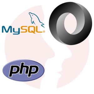 Developer Back-End - PHP & MySQL - główne technologie