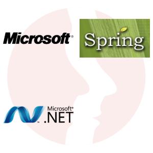 C#/.Net developer - główne technologie