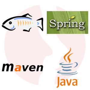 Developer JAVA (GWT, Spring) - główne technologie