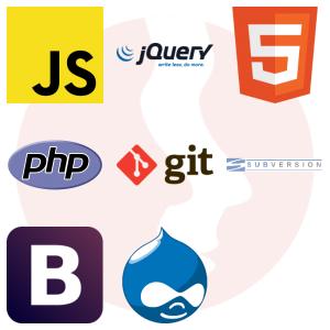 Web Developer - Team Leader - główne technologie