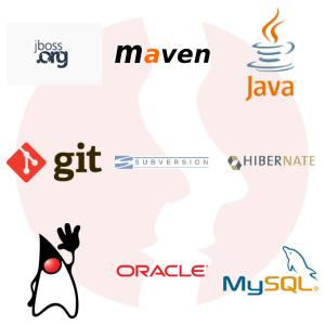 Lead Java EE Developer - główne technologie