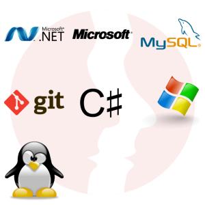 Regular Software .Net Developer - główne technologie