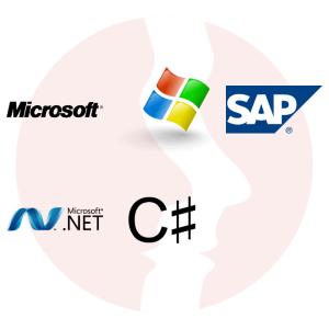 Programista C# .NET / SAP Business One - główne technologie