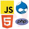 Drupal Developer (Fullstack) - główne technologie
