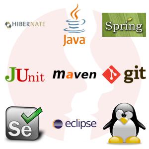 Senior Java EE/SE Developer - główne technologie