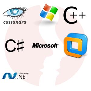 Software Developer - Database - główne technologie
