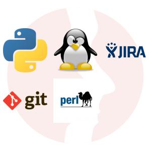 C Software Developer - główne technologie