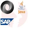 Integration Architect (SAP) - główne technologie